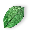 https://cleaninghero.be/wp-content/uploads/2025/07/floating_leaf_01.png
